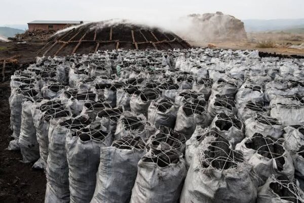 bagged lump charcoal ready for exportation